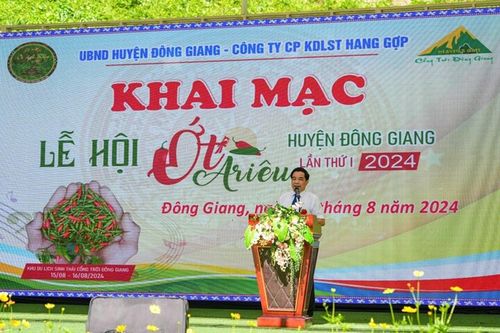 Quảng Nam: Hàng trăm người dân, du khách thích thú tham gia Lễ hội ớt A Riêu