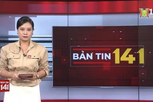 Bản tin 141 | 15/08/2024