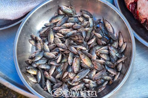 Mua bán cá non tràn về chợ nhóm
