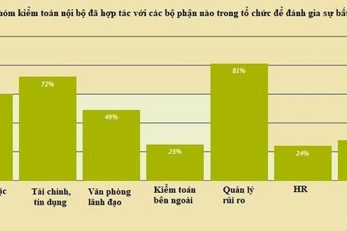 Thích ứng với biến động kinh tế - kiểm toán nội bộ đóng vai trò hậu phương vững chắc