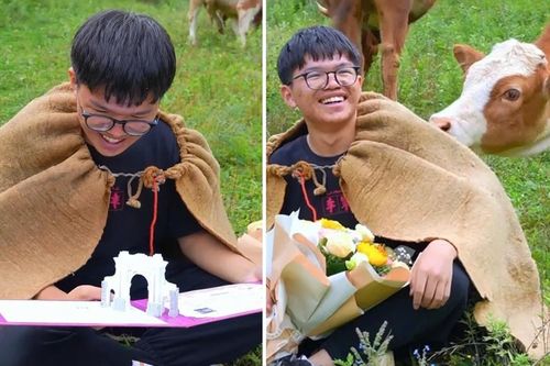 Khoảnh khắc nam sinh chăn bò nhận giấy trúng tuyển đại học top 1 gây sốt mạng