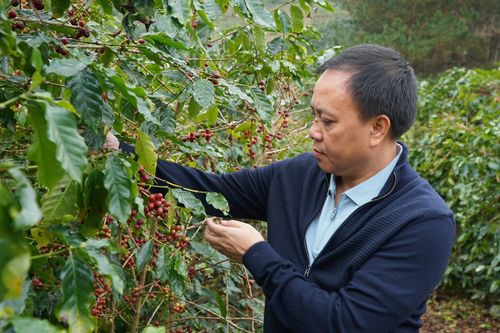 Quỹ đầu tư Hà Lan rót gần 25 triệu USD vào 'vua tiêu' Phúc Sinh