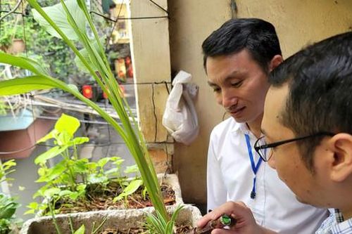 Ba Đình tăng cường phòng, chống sốt xuất huyết tại địa bàn nguy cơ cao