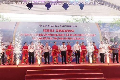 Tổ chức trưng bày sản phẩm công, nông nghiệp tại Thanh Hóa
