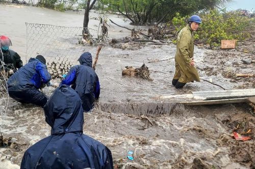 Cà Mau sẵn sàng kịch bản hộ đê mùa mưa bão 2024