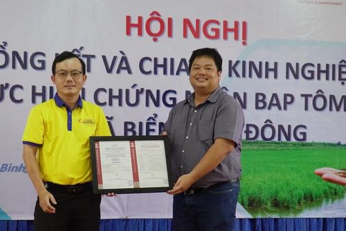 Trao giấy chứng nhận cấp quốc tế cho cho tôm sú ở Cà Mau