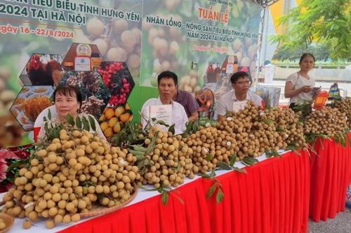 Khai mạc Tuần lễ nhãn lồng - Nông sản tiêu biểu tỉnh Hưng Yên năm 2024 tại Hà Nội