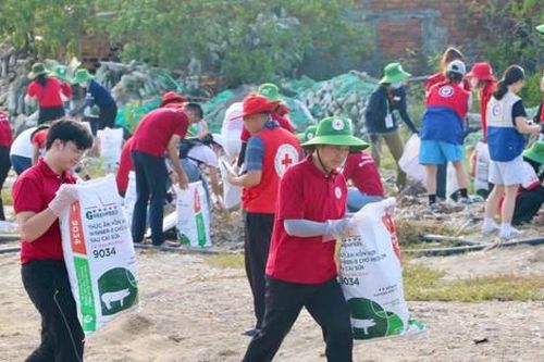 Tình nguyện viên thu gom 10 tấn rác trên biển