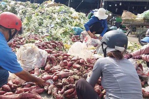 'Lên đời' cho thực phẩm bẩn: 'Hô biến' rác thành... rau nhà trồng