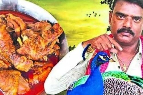 Dùng chim công để nấu cà ri, 'ngôi sao' mạng xã hội vướng vòng lao lý