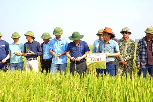 Việc tích tụ đất nông nghiệp phải bảo đảm các nguyên tắc nào?