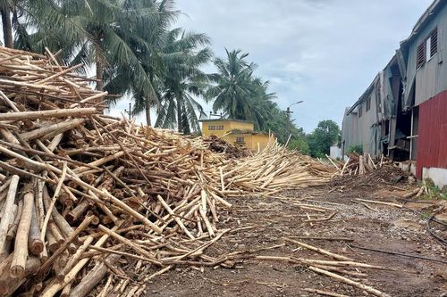 Huyện Tân Kỳ lập đoàn liên ngành kiểm tra hoạt động chế biến băm dăm gỗ ở xã 'phớt lờ' chỉ đạo của cấp trên