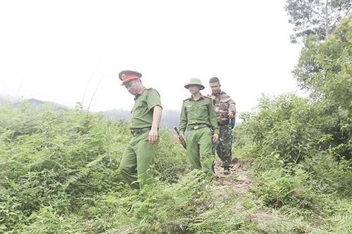 Giữ vàng trên núi Vạn Cung