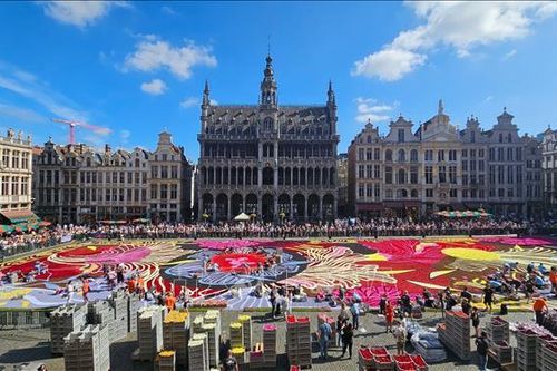 Thảm hoa Brussels 2024 - kiệt tác sống động giữa lòng châu Âu