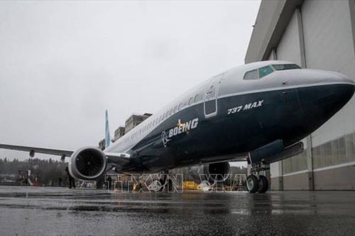 Hãng hàng không hàng đầu nước Mỹ tin tưởng vào sự phục hồi của Boeing