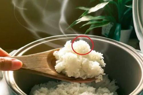 Thêm thứ này vào khi nấu cơm, để lâu không lo thiu 'hạt ngọc trời'