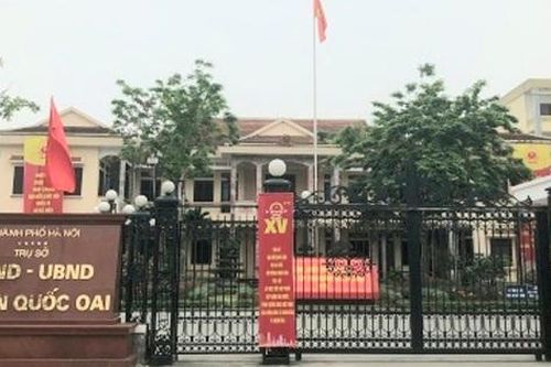 Nạn chặt trộm gỗ sưa trên núi Thầy (Quốc Oai, Hà Nội): Giao Công an huyện vào cuộc điều tra, xử lý