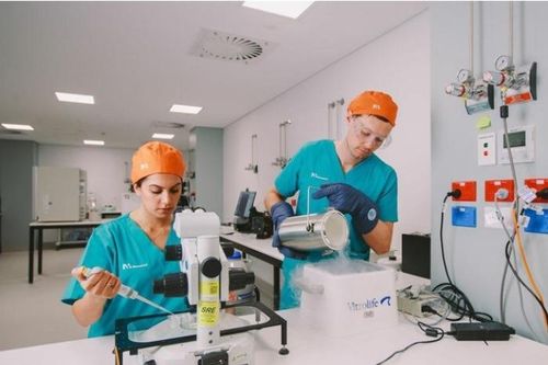 Công nghệ AI đột phá giúp tăng hiệu quả cho phương pháp thụ tinh ống nghiệm