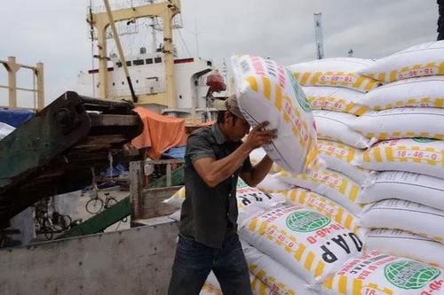 Việt Nam nhập khẩu 1,25 triệu tấn phân bón từ thị trường Trung Quốc