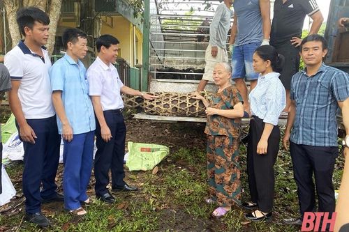 Kỳ vọng những dự án giảm nghèo