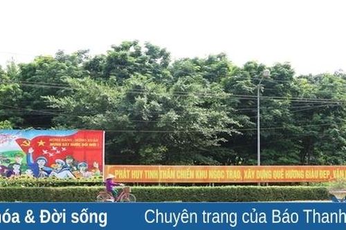 Những làng quê cách mạng xứ Thanh ngày ấy và bây giờ: Về Ngọc Trạo nghe chuyện chiến khu