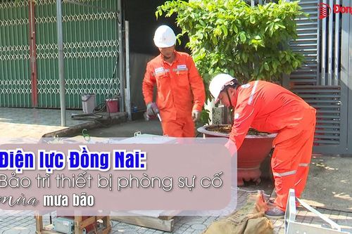 Điện lực Đồng Nai: Bảo trì thiết bị phòng sự cố mùa mưa bão