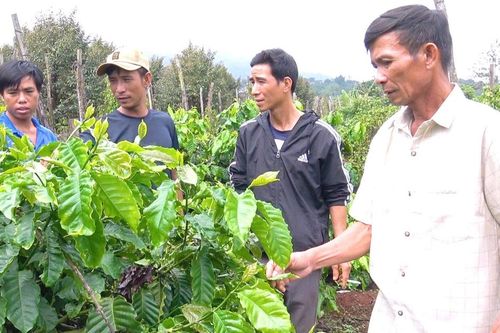Chư Prông tạo đột phá để phát triển nhanh, bền vững
