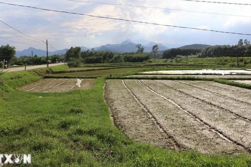 Quảng Ngãi: Xử lý dứt điểm việc thu tiền 30 năm nhưng chưa giao đất cho dân