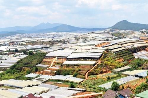 Giảm dần nhà kính cần những giải pháp khả thi