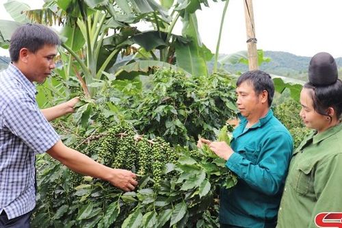 Về quê hương cách mạng Bản Lầm