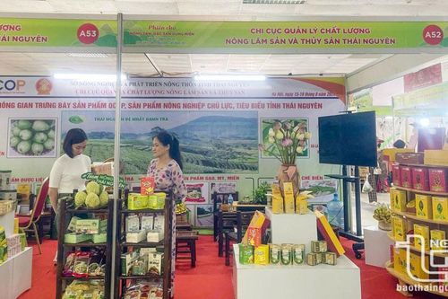 Thái Nguyên tham gia phiên chợ nông sản, đặc sản vùng miền 2024