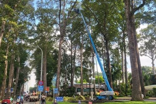 Thành phố Hồ Chí Minh: Đầu tư máy kiểm tra khuyết tật cây xanh
