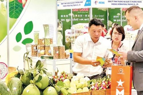Hiểu rõ thị trường, thêm cơ hội thành công cho doanh nghiệp xuất khẩu
