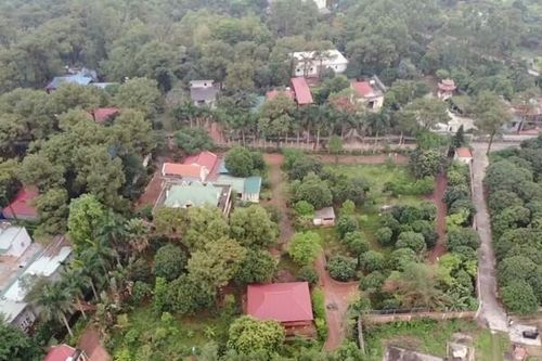 Hải Dương: Yêu cầu xử lý dứt điểm 424 công trình vi phạm trên đất lâm nghiệp