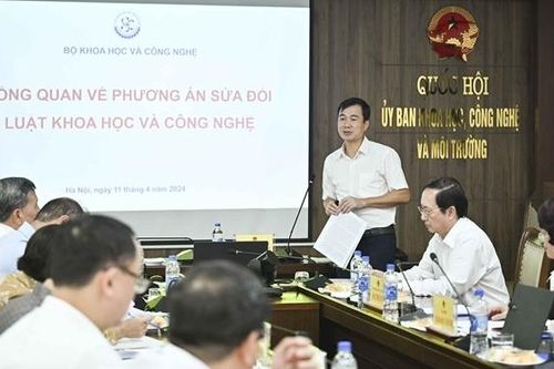 Chấp nhận rủi ro và độ trễ trong nghiên cứu khoa học và phát triển công nghệ