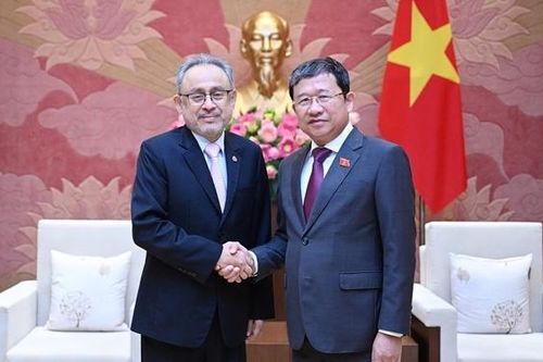Chủ nhiệm Ủy ban Đối ngoại Vũ Hải Hà tiếp Đại sứ El Salvador tại Việt Nam