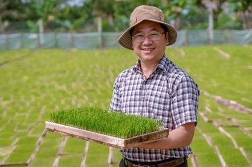 Gỡ khó để HTX hạn chế rủi ro trong sản xuất lúa hữu cơ