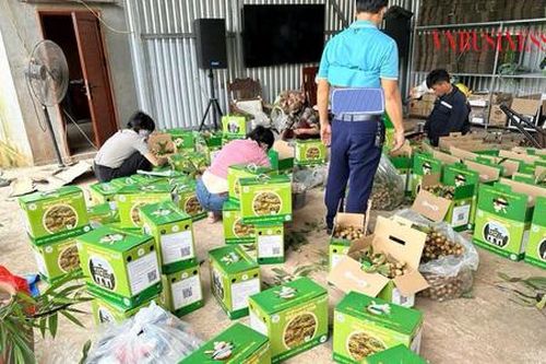 HTX tất bật thu hoạch nông sản phục vụ thị trường rằm tháng Bảy