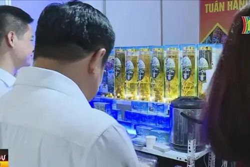 Khai mạc tuần hàng Việt tại Hà Nội 2024