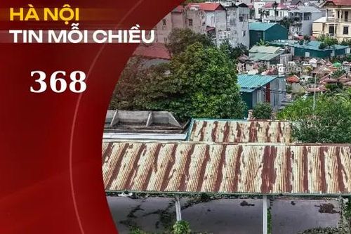 Chợ tiền tỷ bỏ hoang, cỏ mọc um tùm | Hà Nội tin mỗi chiều