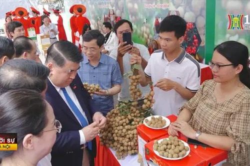 Tuần lễ Nhãn lồng Hưng Yên tại Hà Nội