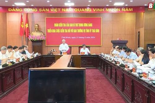 Tập trung kiểm tra việc thực hiện công tác xây dựng, chỉnh đốn Đảng