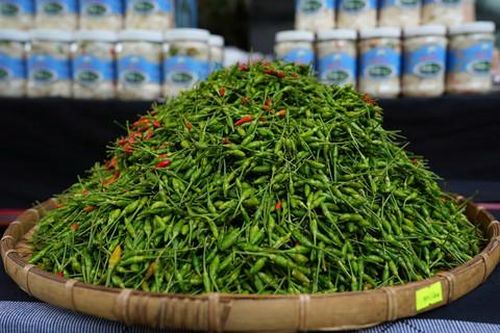 Độc lạ Lễ hội ớt A Riêu nơi 'cổng trời Đông Giang'