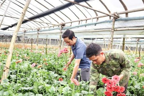 Đan Phượng phát triển sản phẩm OCOP: Tạo lực đẩy cho các làng nghề