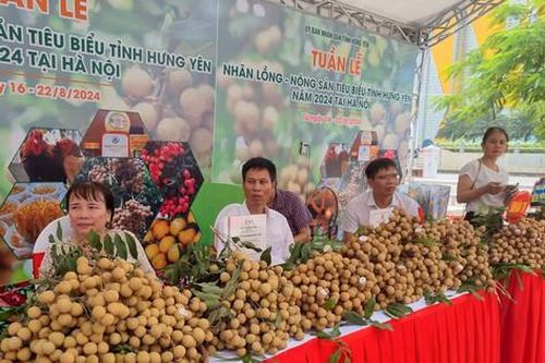 Hà Nội: Khai mạc tuần lễ nhãn và nông sản tiêu biểu tỉnh Hưng Yên năm 2024