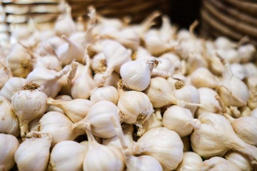 Lý Sơn nâng tầm 'vàng trắng' của đảo