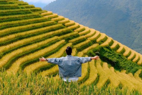 Báo Ấn Độ gợi ý 8 điểm 'phải đến' tại Việt Nam