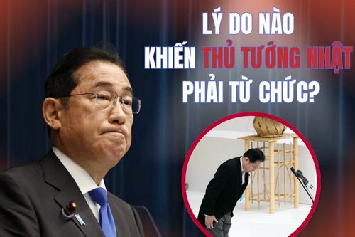 Lý do thực sự khiến Thủ tướng Nhật từ chức