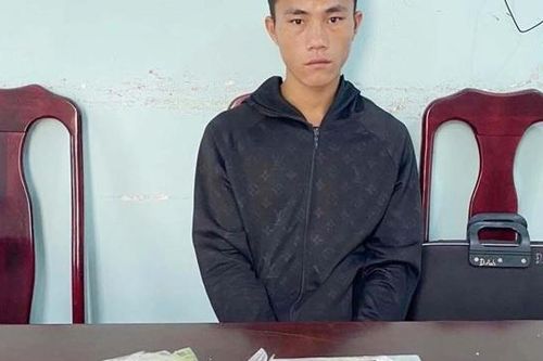 Thanh Hóa: xóa đường dây vận chuyển trái phép chất ma túy từ Lào