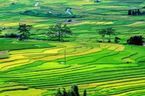 Quy định chi tiết về trình tự, thủ tục trưng dụng đất